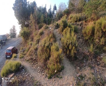 2 bigha commercial land  for sale in baldeyan shimla