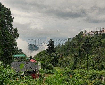 7 bigha agriculture land for sale  in bhatta fall mussoorie