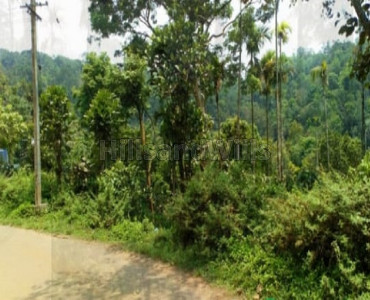 23 cents residential plot for sale in vythiri wayanad