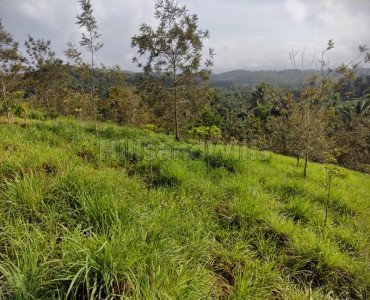 50 cents residential plot for sale in mananthavady wayanad