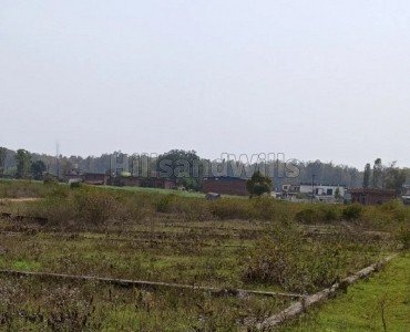 300 sq.yards residential plot for sale  in sabhawala dehradun