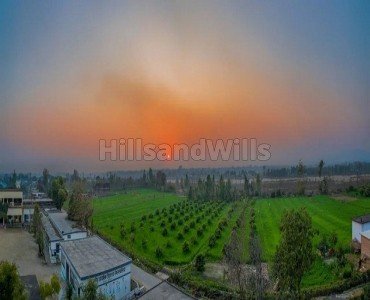 5.25 bigha  homestay farmhouse land for sale  in jimcorbett, ramnagar near nainital