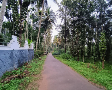 1 acres residential plot for sale in pulpally wayanad