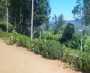 75 cents residential plot for sale in between kotagiri and ooty