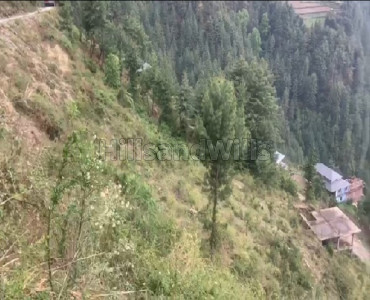 4 bigha commercial land  for sale in bekhalti shimla