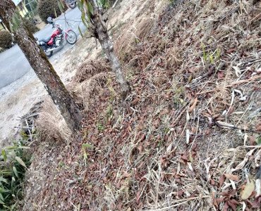 100.24 decimal commerical land for sale  in kalimpong darjeeling