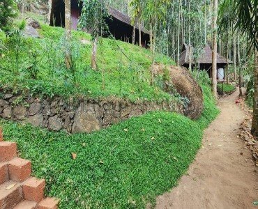 14bhk farm house for sale  in sulthan bathery wayanad