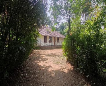 10 acres agriculture land for sale  in ambalavayal wayanad