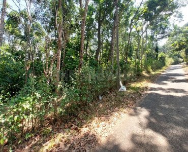 6 acres agriculture land for sale in munnar