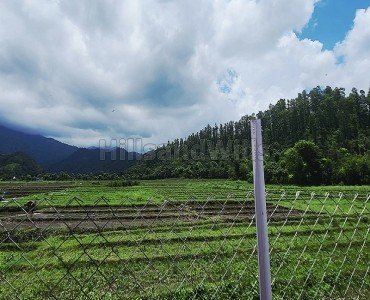 315 sq.yards residential plot for sale  in thano dehradun