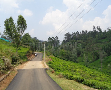 35 cents Residential Plot For Sale in near Yellanalli, Ooty