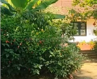 600 cents residential plot for sale in meenangadi wayanad