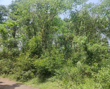 3 acres residential plot for sale in napoklu coorg