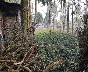 6 kattha residential plot for sale  in fatapukur siliguri