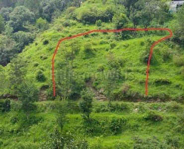30 biswa agriculture land for sale  in panthaghati shimla