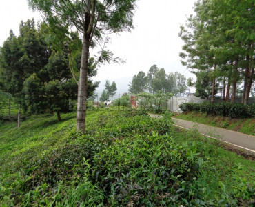 12 acres Agriculture Land For Sale in Mukkaty Ooty