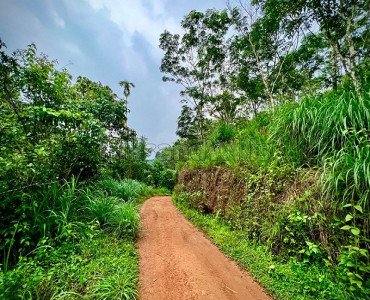 1 acres residential plot for sale in valad wayanad