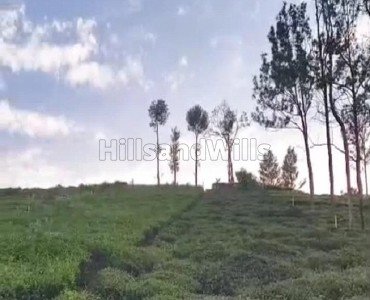 26 cents residential plot for sale  in sundatty kotagiri