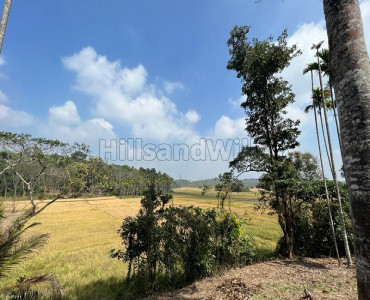 175 cents residential plot for sale in kaippattukunnu wayanad