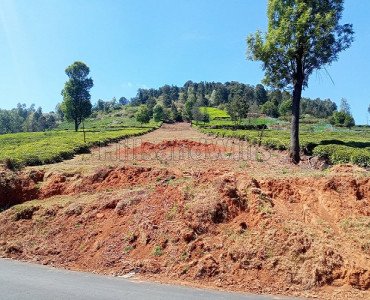 84 cents agriculture land for sale  in thooneri ooty