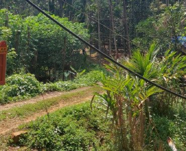 7 acres agriculture land for sale in banasura sagar dam area wayanad
