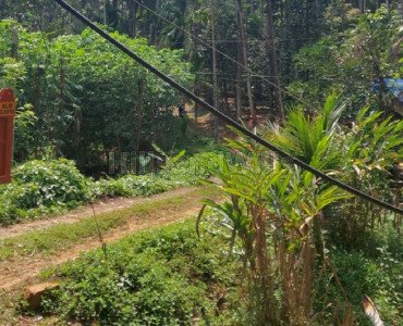 7 acres agriculture land for sale  in banasura sagar dam area wayanad
