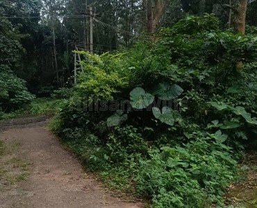 4800 sq.ft. residential plot for sale in pattipadi yercaud 4800 sq.ft. residential plot for sale in pattipadi yercaud