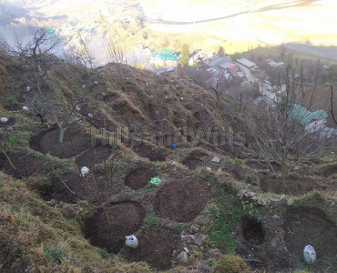 12 bigha agriculture land for sale in rohru shimla
