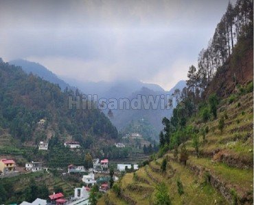 3bhk  scandinavian style cottage for rent  near bhimtal nainital