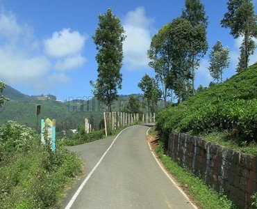 21 cents agriculture land for sale  in hadathurai kotagiri
