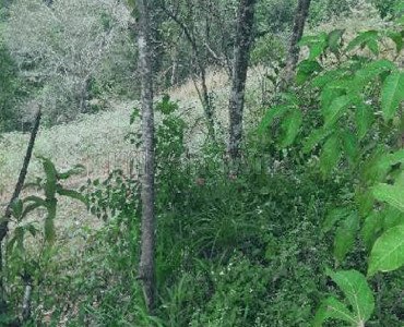 2 acres agriculture land for sale  in thopramkudi idukki