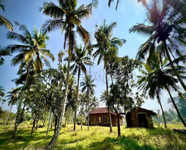 7 acres residential plot for sale in pulpally wayanad