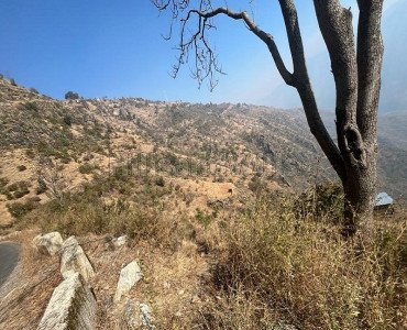 2 bigha residential plot for sale in chail solan