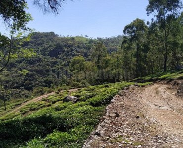 80 acres agriculture land for sale  in kotagiri