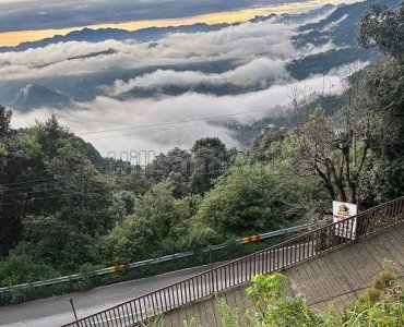 6000 sq. ft homestay for lease  in shoghi shimla along with 10000 sq.ft. land