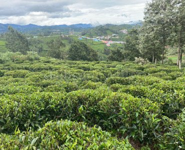 22.50 cents residential plot for sale in ooty kundha road ooty