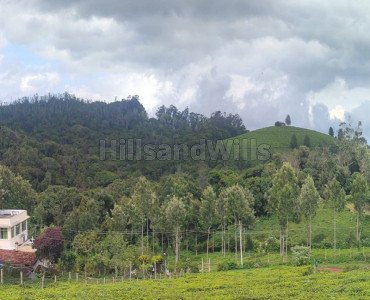 40 cents residential plot for sale  in club road to longwood road kotagiri