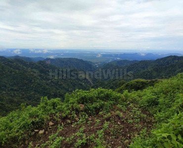 200 sq.yards agriculture land for sale  in yamkeshwar rishikesh