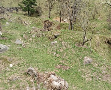 10 biswa agriculture land for sale  in manali kullu-manali