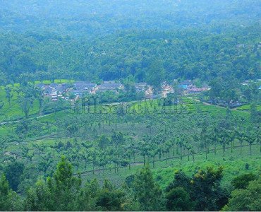 1bhk villa for sale in poopara munnar