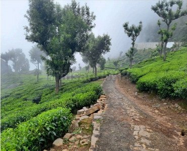 500 acres agriculture land for sale in kotagiri