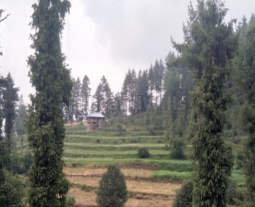 5 bigha commercial land  for sale in mandi kullu-manali