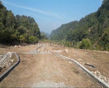 100 sq.yards residential plot for sale  in bhauwala to premnagar corridor dehradun