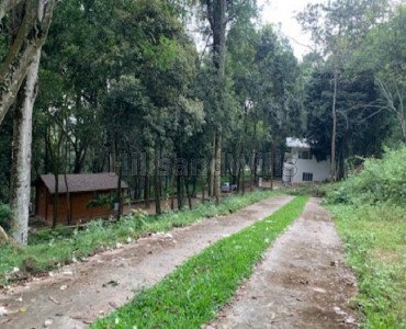 21 cents commercial land  for sale in pannaikadu kodaikanal