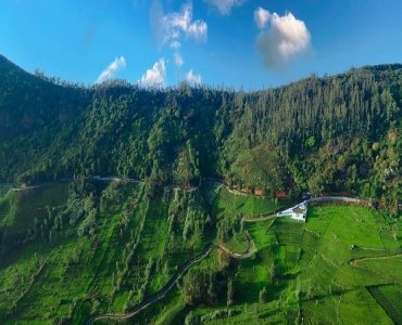 30 cents agriculture land for sale  in t mynalai ooty
