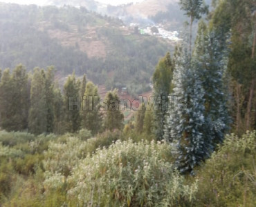 4 acres agriculture land for sale in anikorai ooty