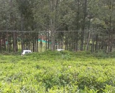 25 cents residential plot for sale  in kotagiri ooty