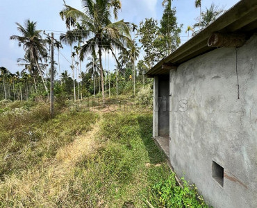 430 cents residential plot for sale in pulpally wayanad