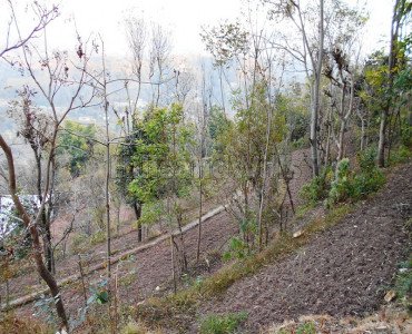 3 bigha agriculture land for sale  in mandi riwalser road, himachal pradesh