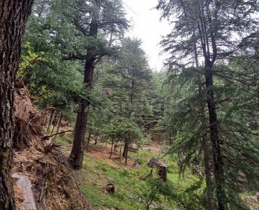 19 biswa commerical land for sale  near main market narkanda nh-5, shimla